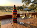 Koozie - Wine Suit Serape